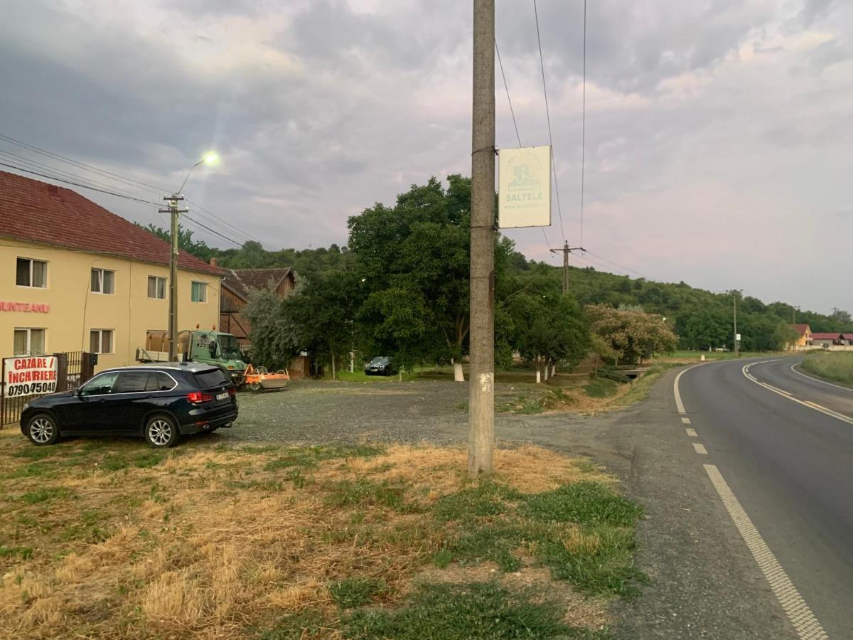 Pensiune Casa Munteanu Baratca Zewnętrze zdjęcie